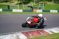 cadwell-no-limits-trackday;cadwell-park;cadwell-park-photographs;cadwell-trackday-photographs;enduro-digital-images;event-digital-images;eventdigitalimages;no-limits-trackdays;peter-wileman-photography;racing-digital-images;trackday-digital-images;trackday-photos